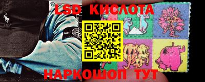 Альфа ПВП Новодвинск