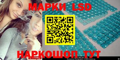 Альфа ПВП Новодвинск