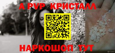 хмурый Новозыбков