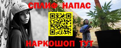 хмурый Новозыбков