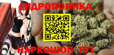Альфа ПВП Новодвинск