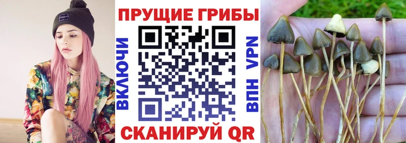 Галлюциногенные грибы GOLDEN TEACHER kraken ССЫЛКА Унеча