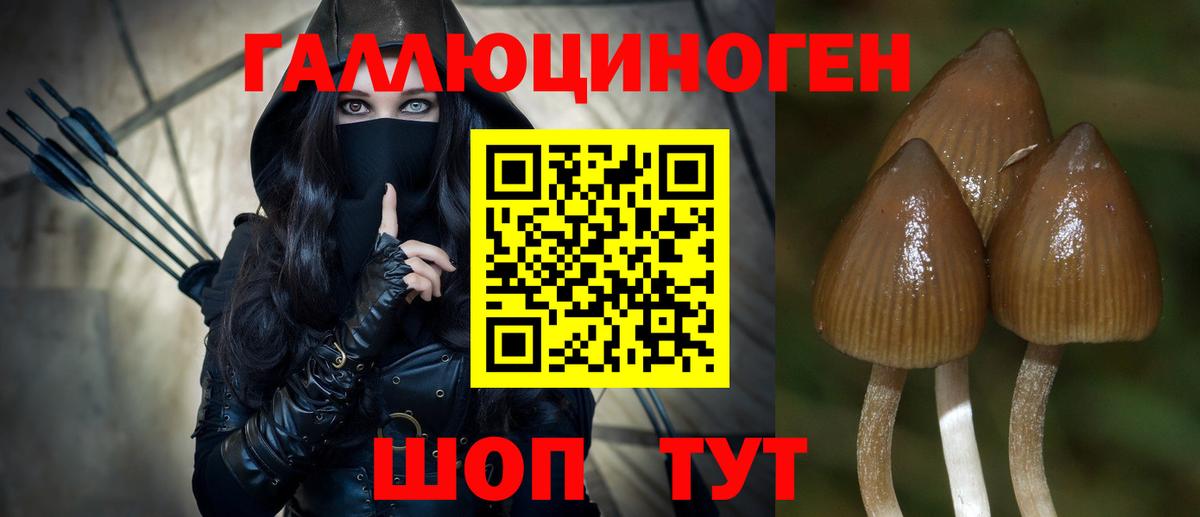 закладки  Галлюциногенные грибы прущие грибы  Вход с VPN  Унеча 